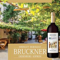 Bruckner Borászat, Sopron